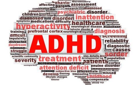ADHDの人の理論整理法はどうでしょう？
