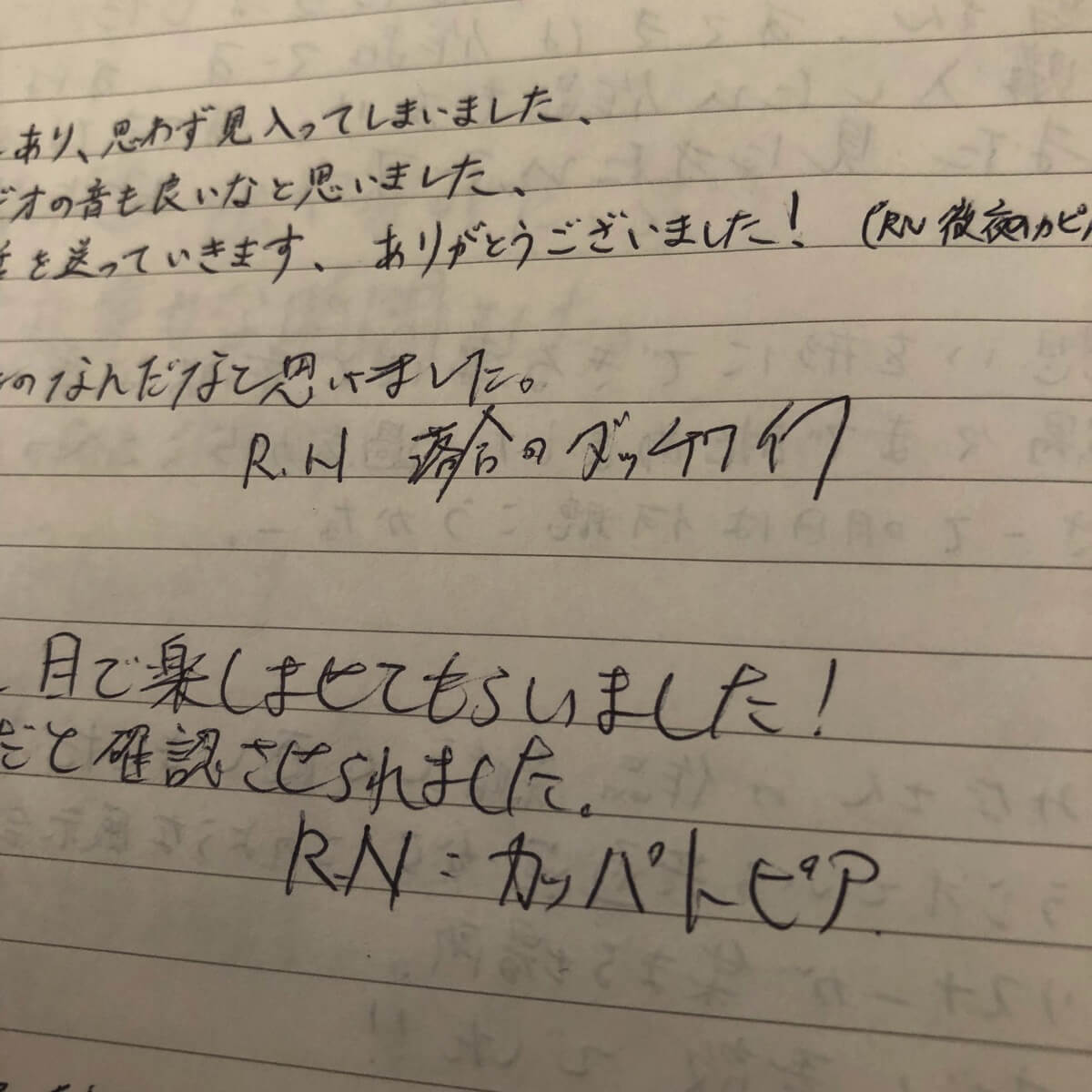 IMG 1516