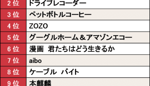 2018年ヒット商品に「？」