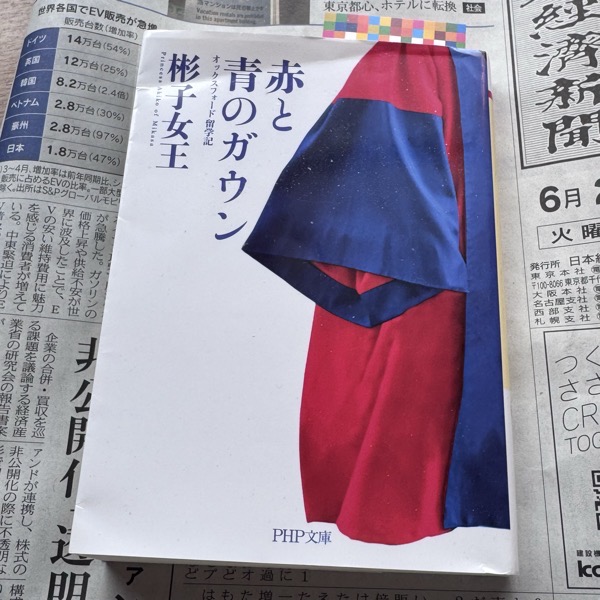 D_PHIL_RED_BLUE_akiko.jpeg D PHIL RED BLUE akiko